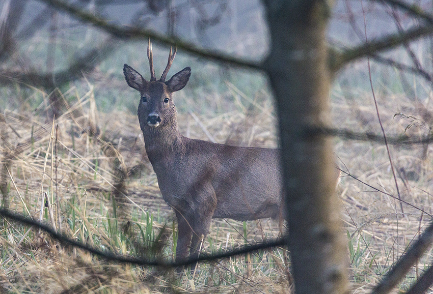 Im Blick