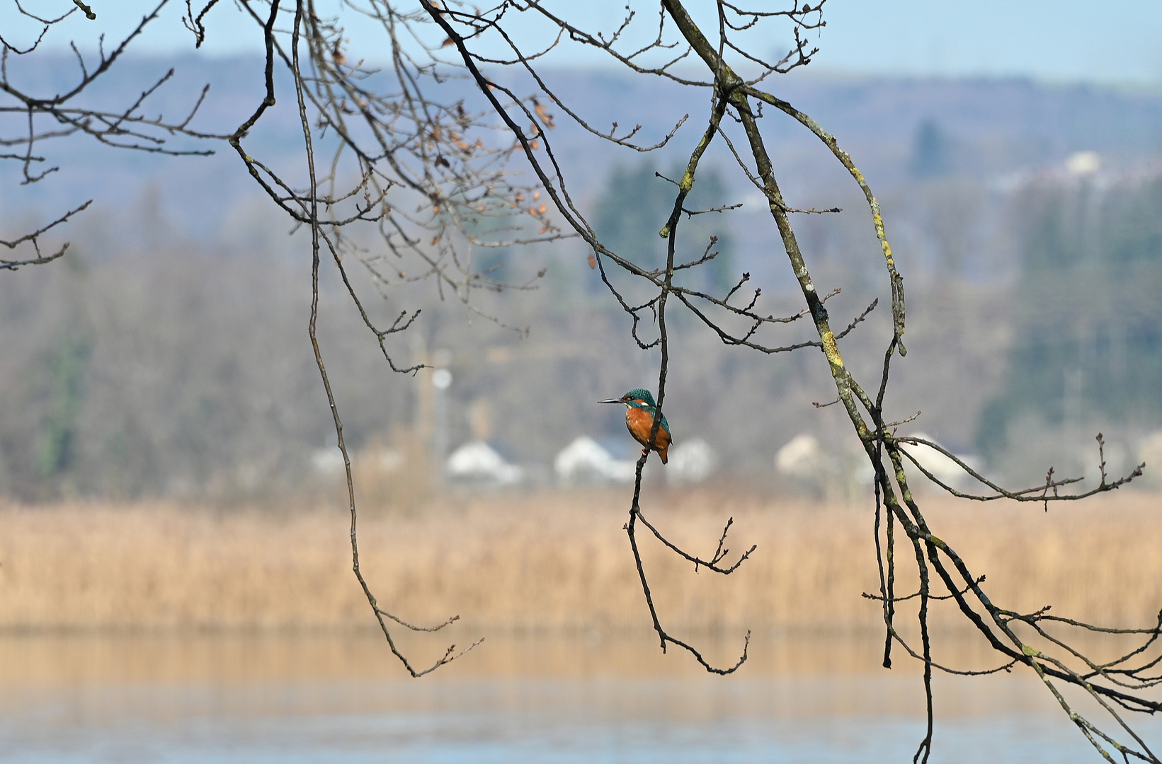 im Blick den Durchblick