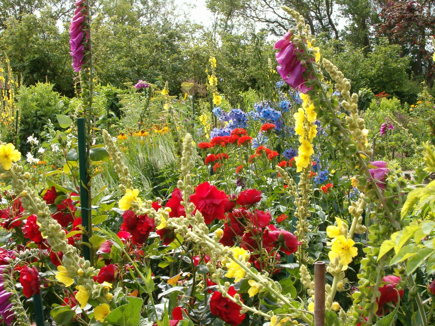 Im Blumengarten von Emil Nolde 2 Foto & Bild landschaft, natur Bilder