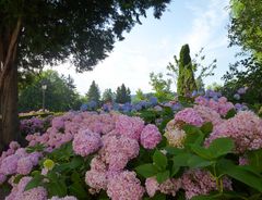 Im Blumenreich des Schloss Meggerhorn ...