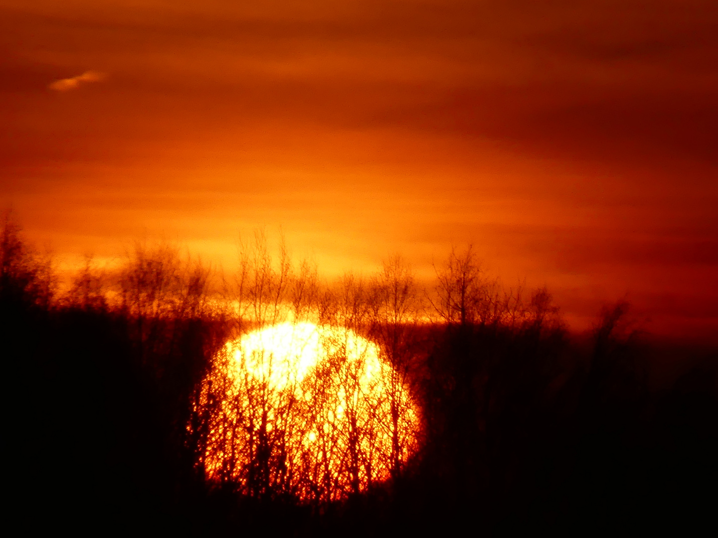 Im Boden steckende Sonne!