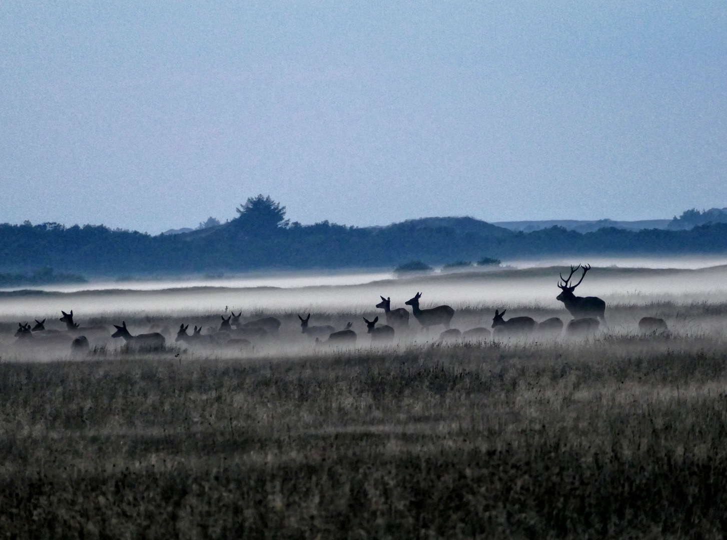 Im Bodennebel