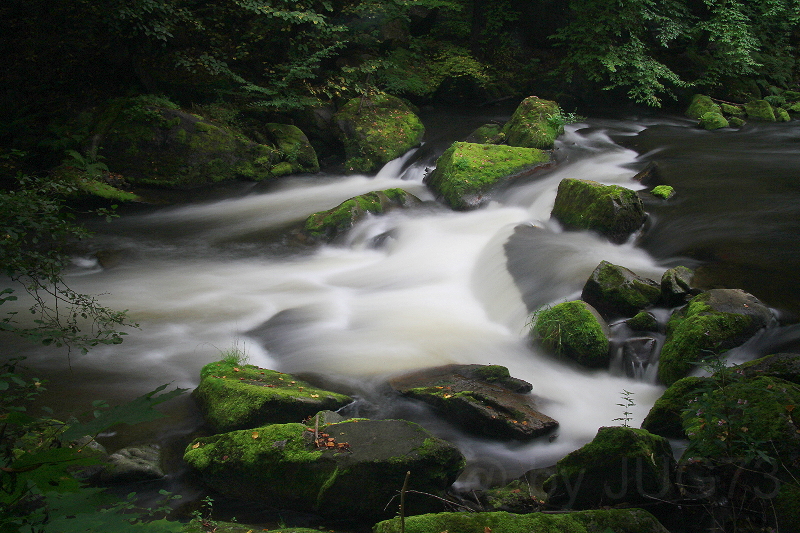 im Bodetal bei Thale (Südharz)