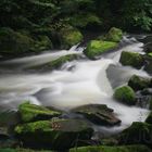 im Bodetal bei Thale (Südharz)