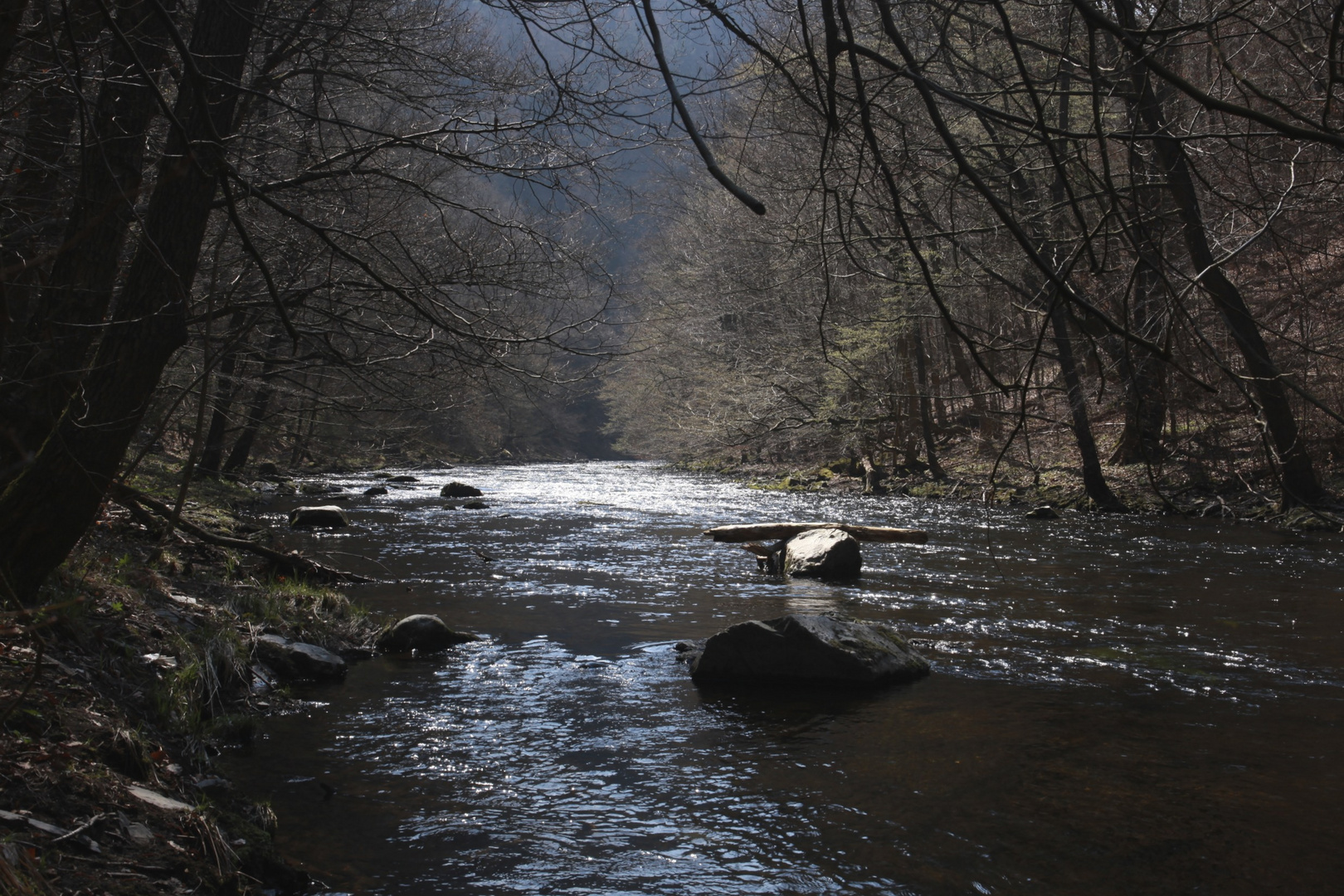 Im Bodetal bei Thale/Harz