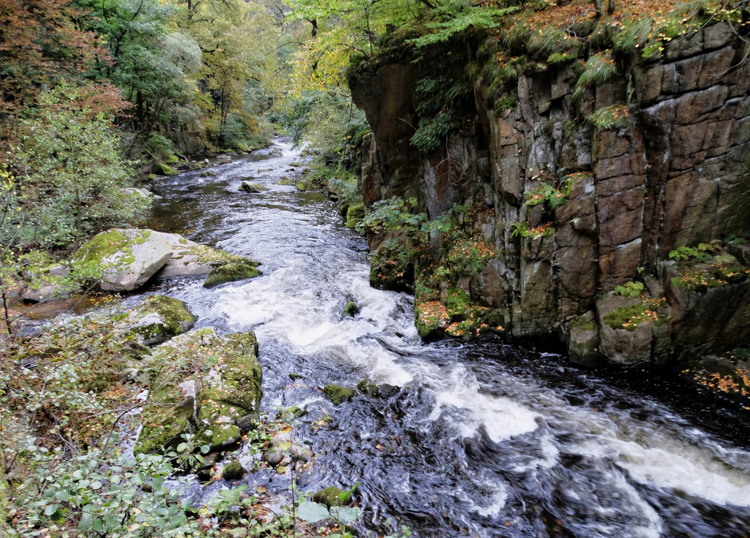Im Bodetal