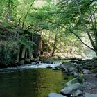 im Bodetal (Harz)