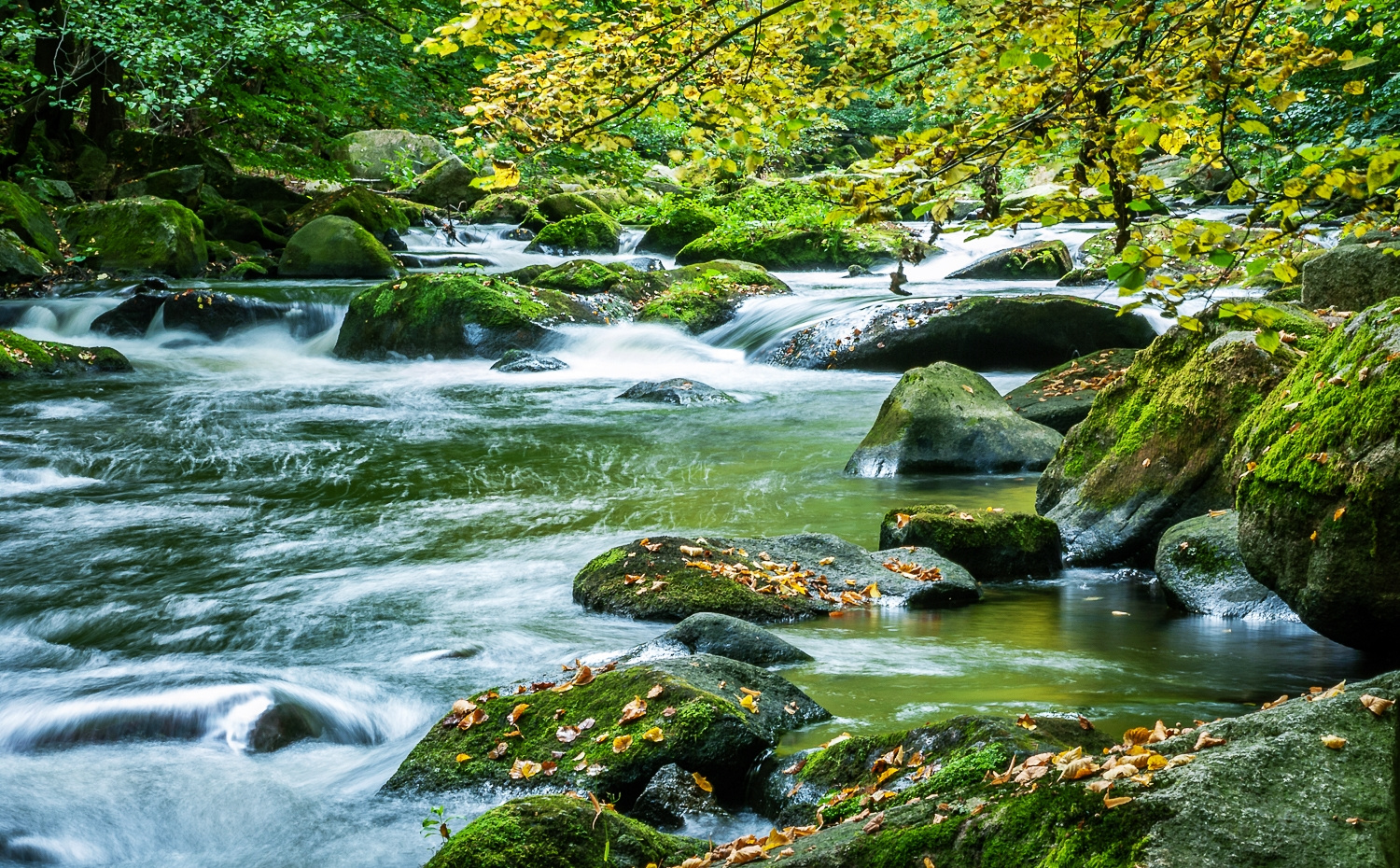 Im Bodetal, Harz