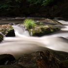 Im Bodetal / Harz