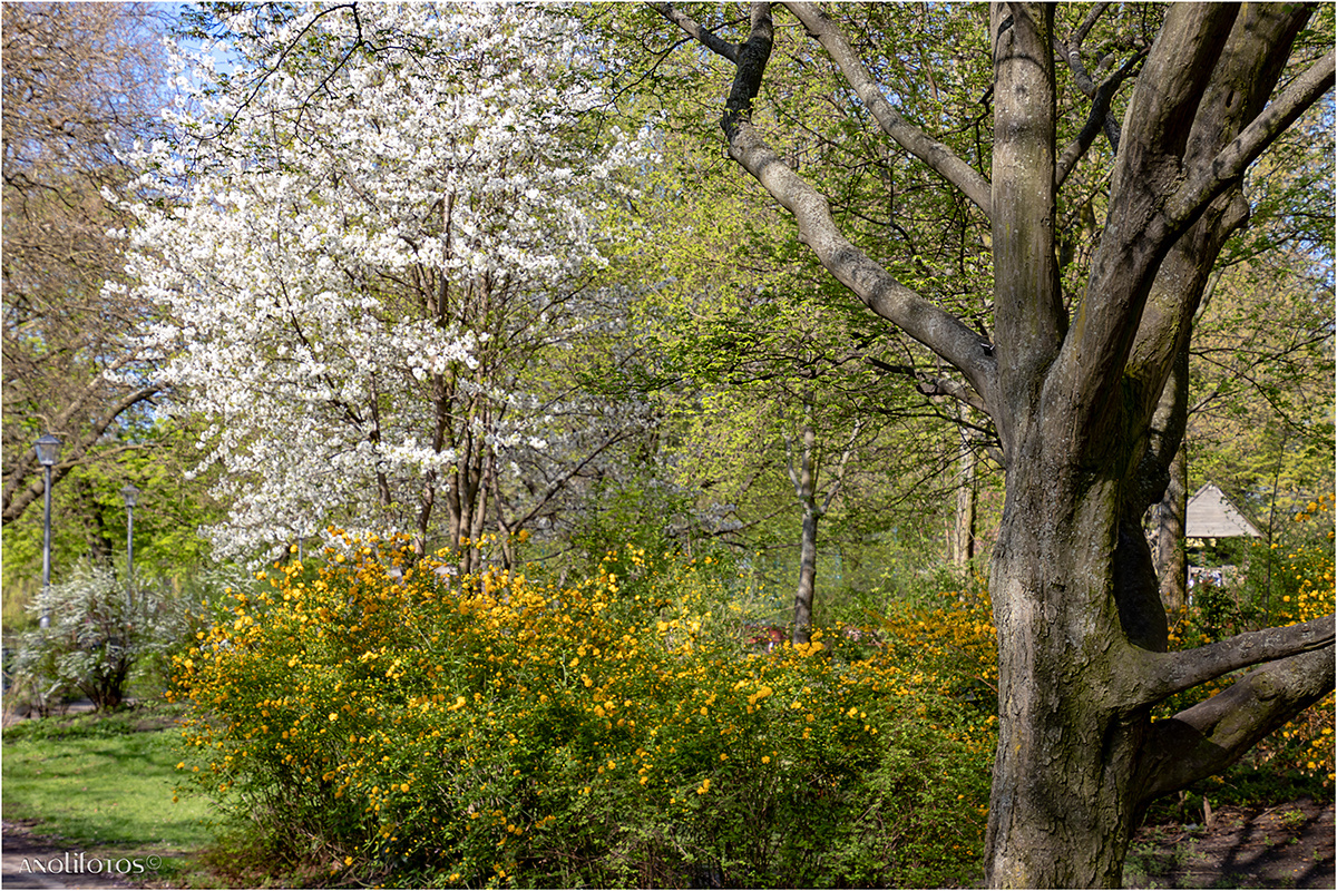 Im Böcklerpark (01)