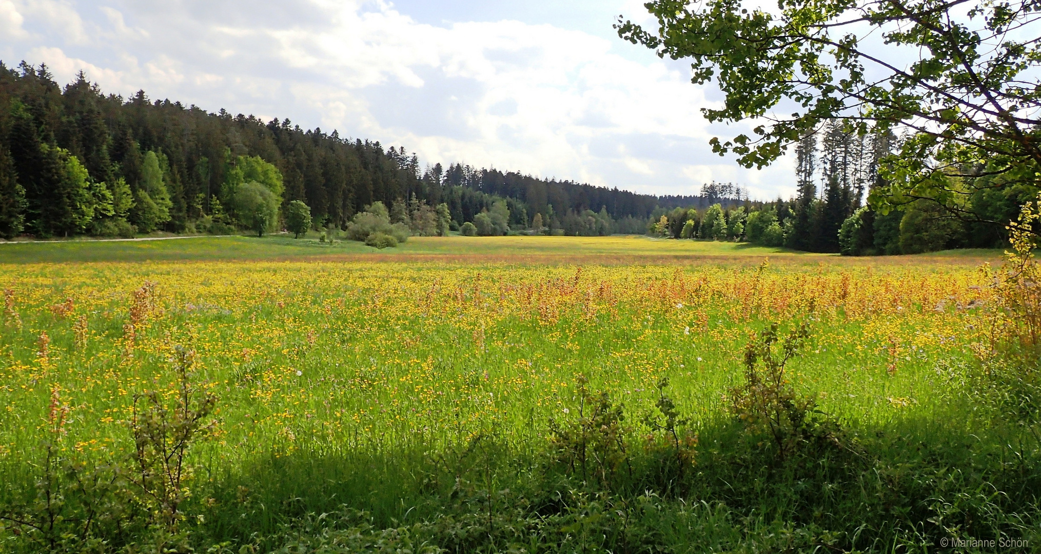 Im Bömbachtal unterwegs...