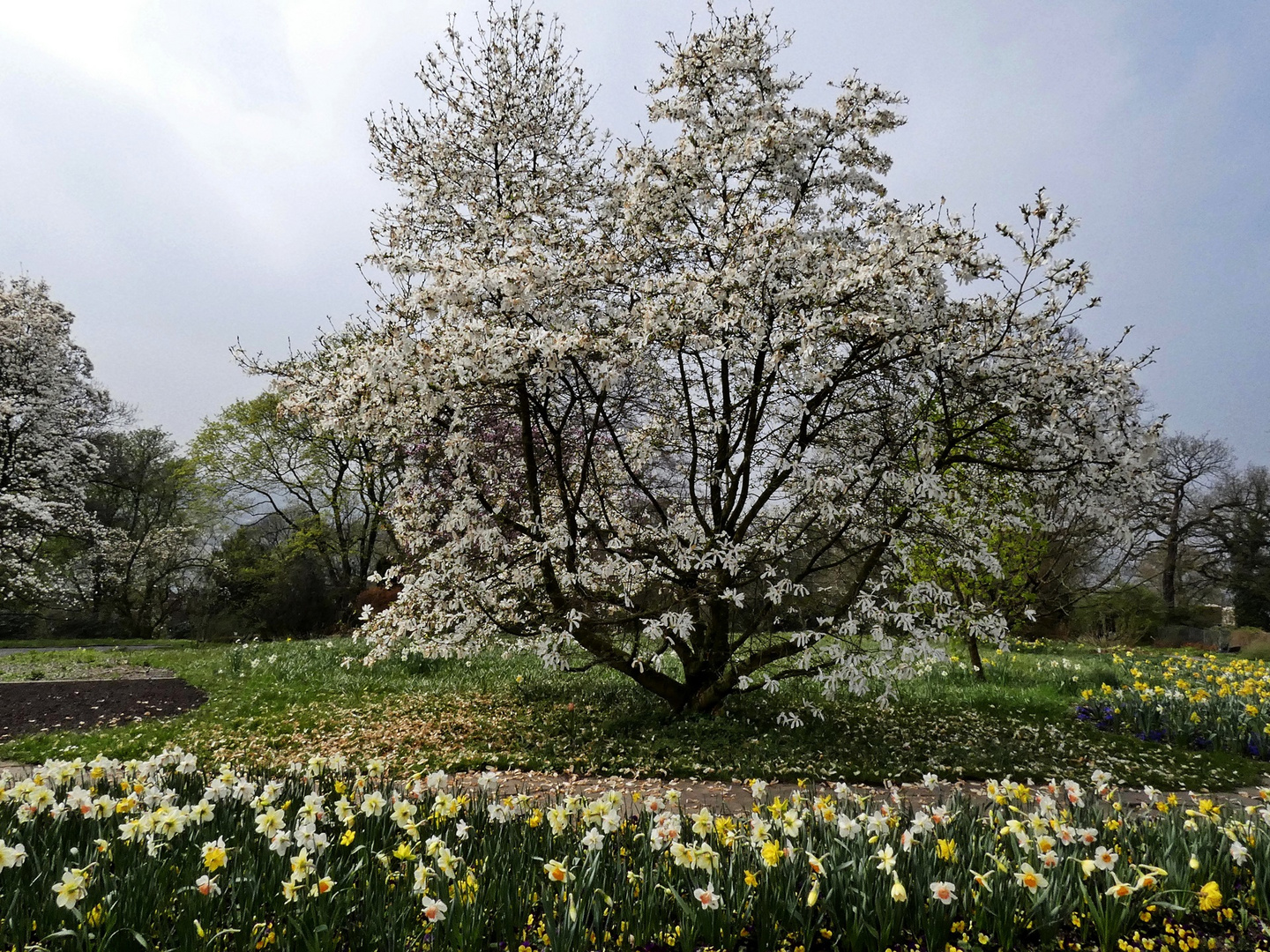 Im Botan. Garten Wuppertal auf der Hardt