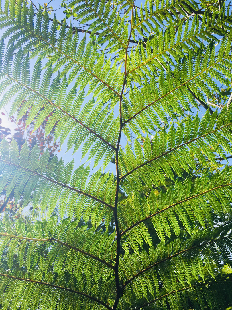 im Botanical Park Kreta