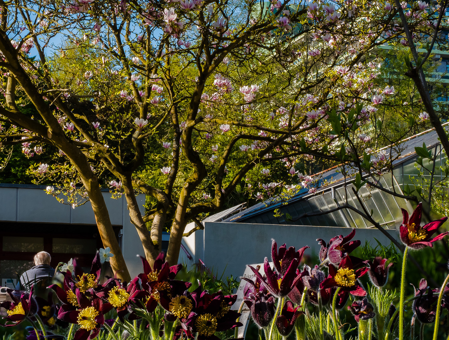 Im Botanischen Garten