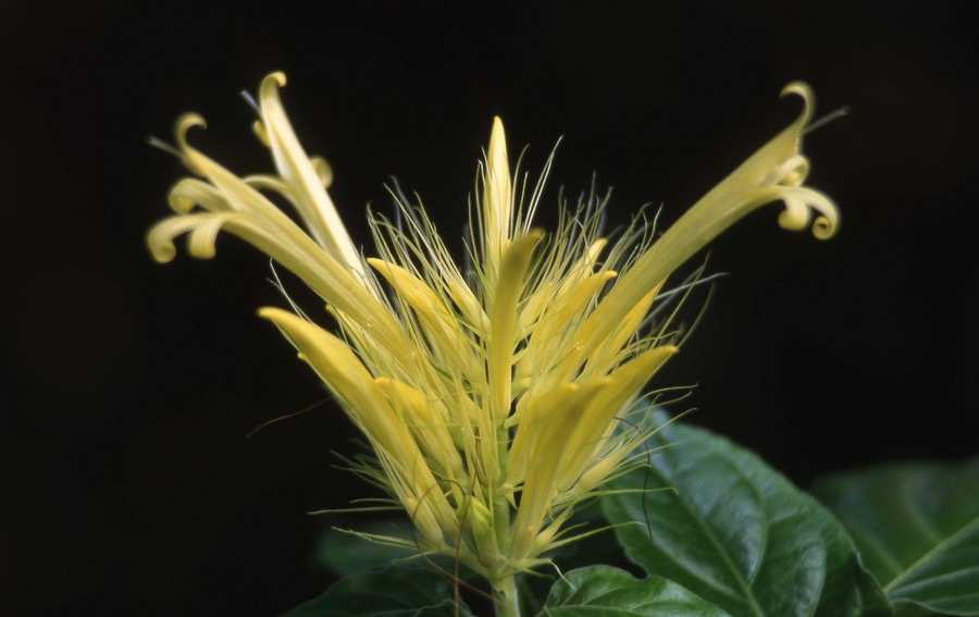 Im botanischen Garten 03