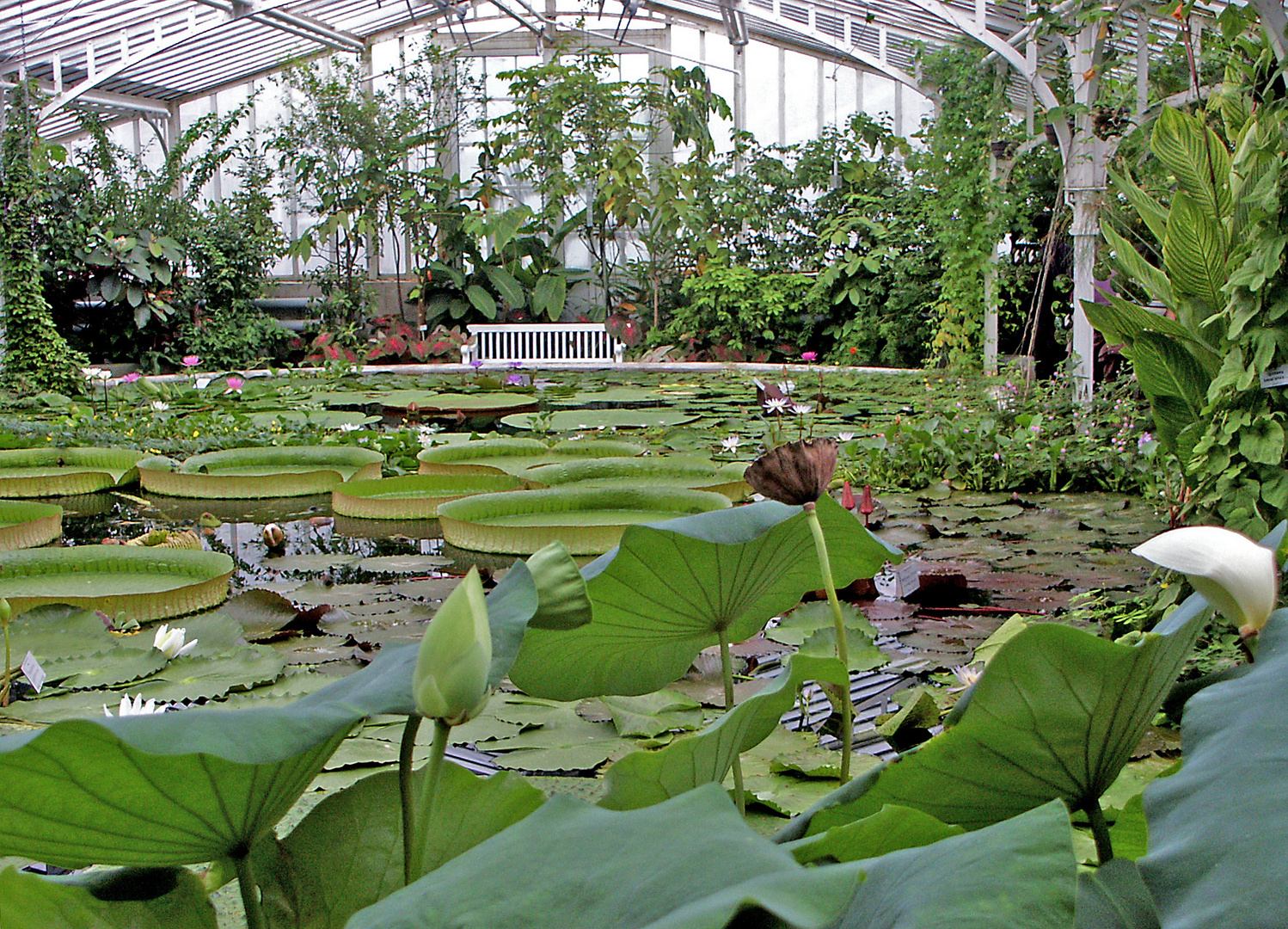 im Botanischen Garten