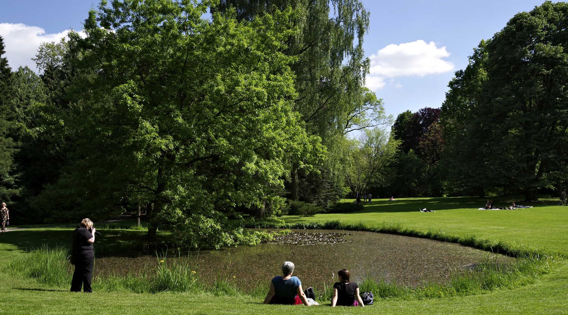 im botanischen Garten,