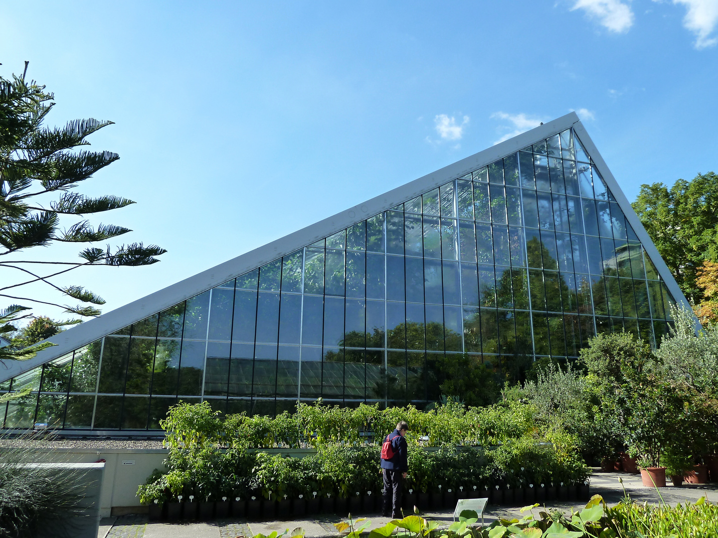 im Botanischen Garten Foto & Bild spezial, spiegelung
