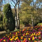 Im Botanischen Garten 