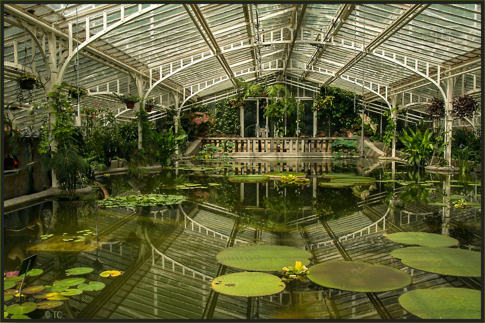 IM BOTANISCHEN GARTEN