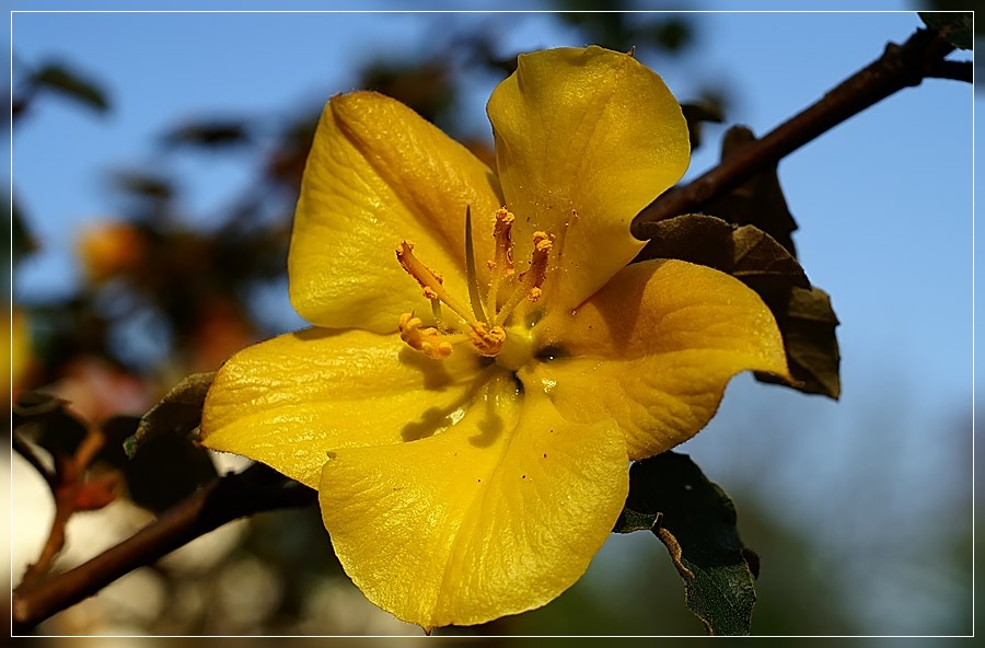 ...im Botanischen Garten...