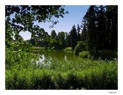 Im Botanischen Garten