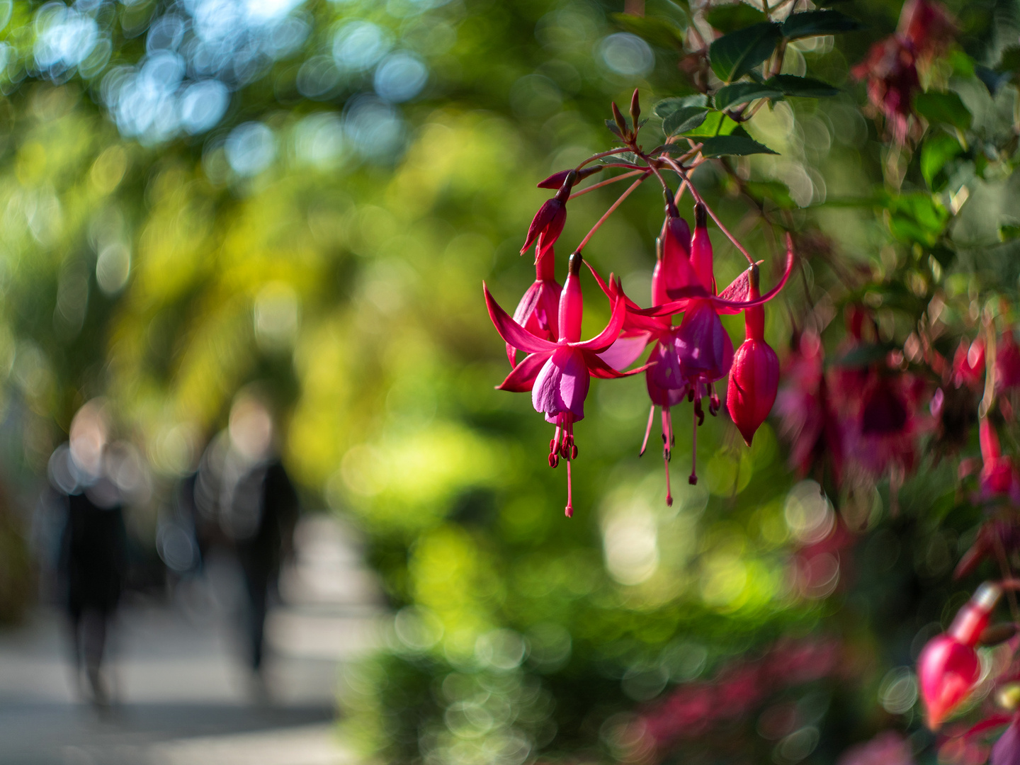 Im Botanischen Garten