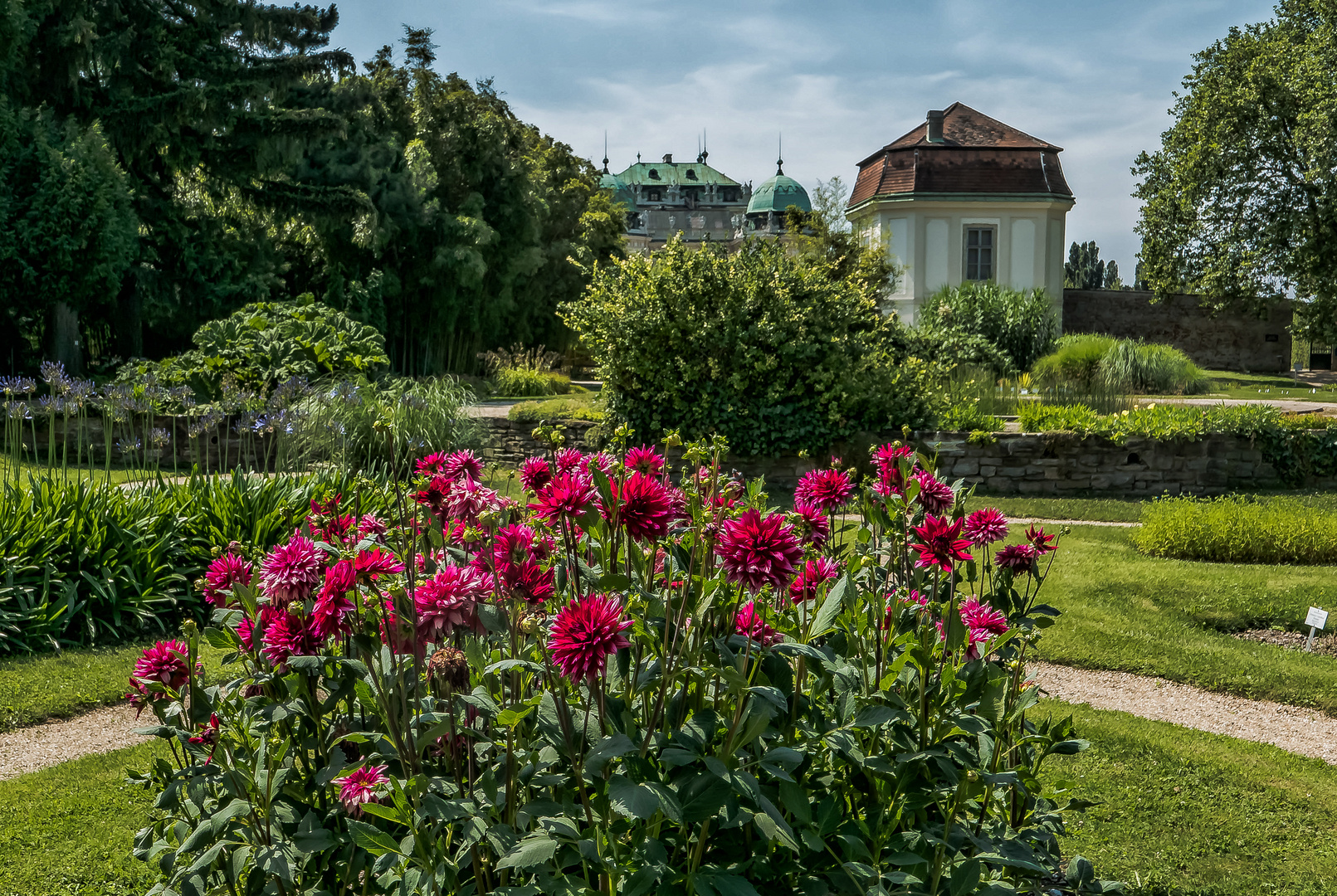 Im Botanischen Garten