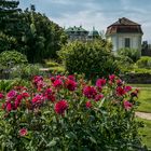 Im Botanischen Garten