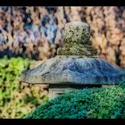 Im Botanischen Garten Augsburg