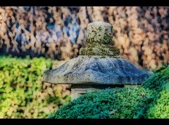 Im Botanischen Garten Augsburg