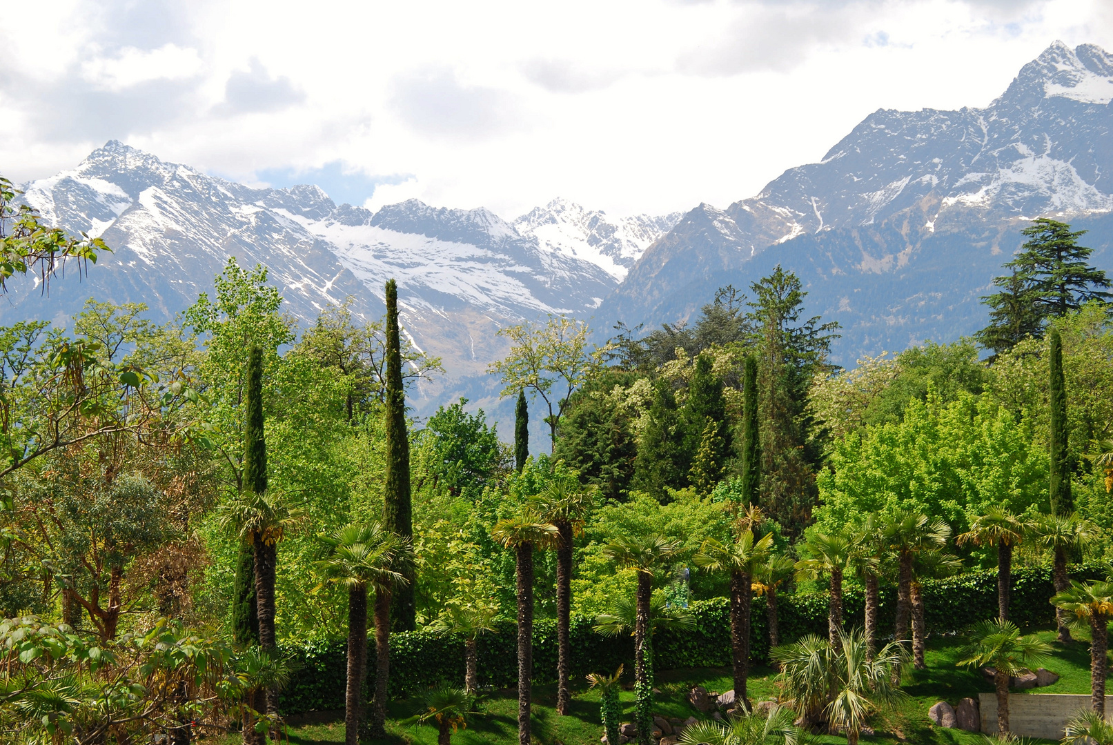 im Botanischen Garten