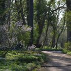 IM BOTANISCHEN GARTEN BERLIN