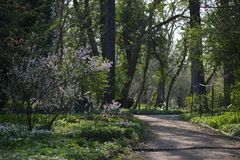 IM BOTANISCHEN GARTEN BERLIN