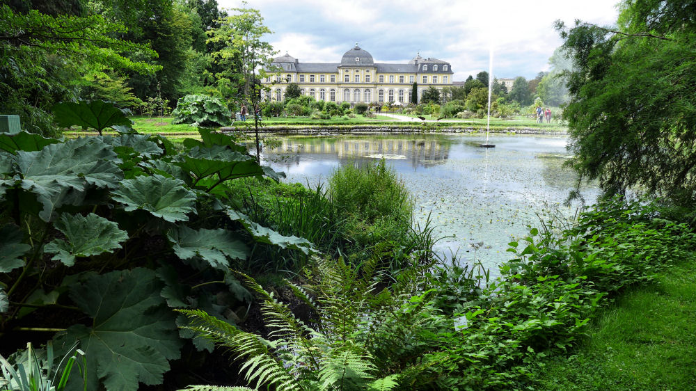 Im Botanischen Garten Bonn 1