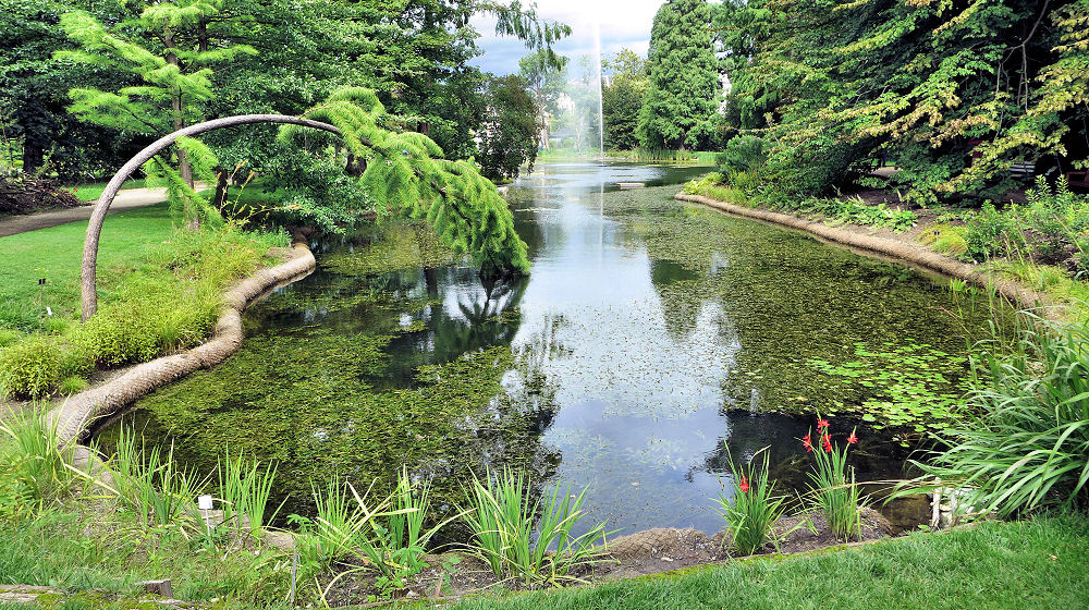 Im Botanischen Garten Bonn 2