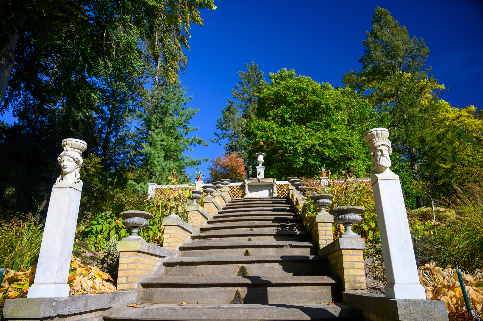 Im botanischen Garten