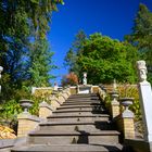 Im botanischen Garten