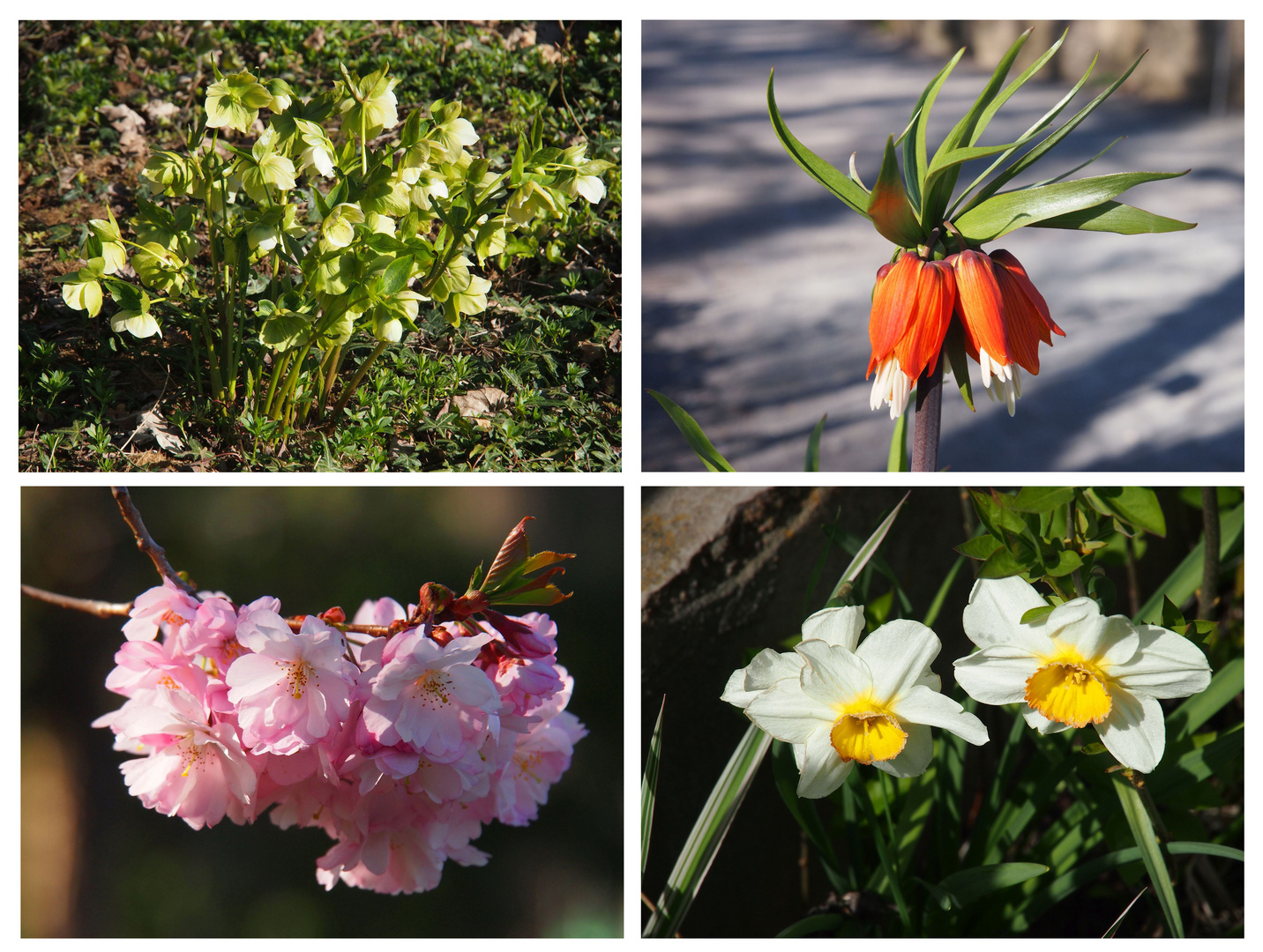 Im Botanischen Garten