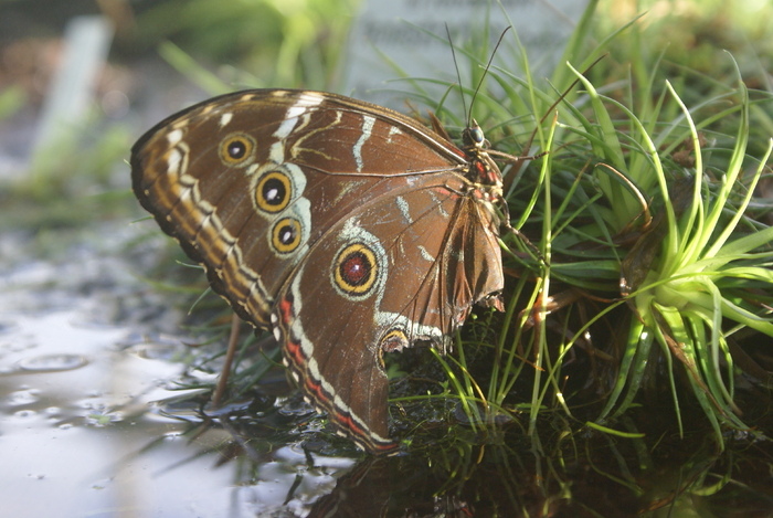 im Botanischen Garten