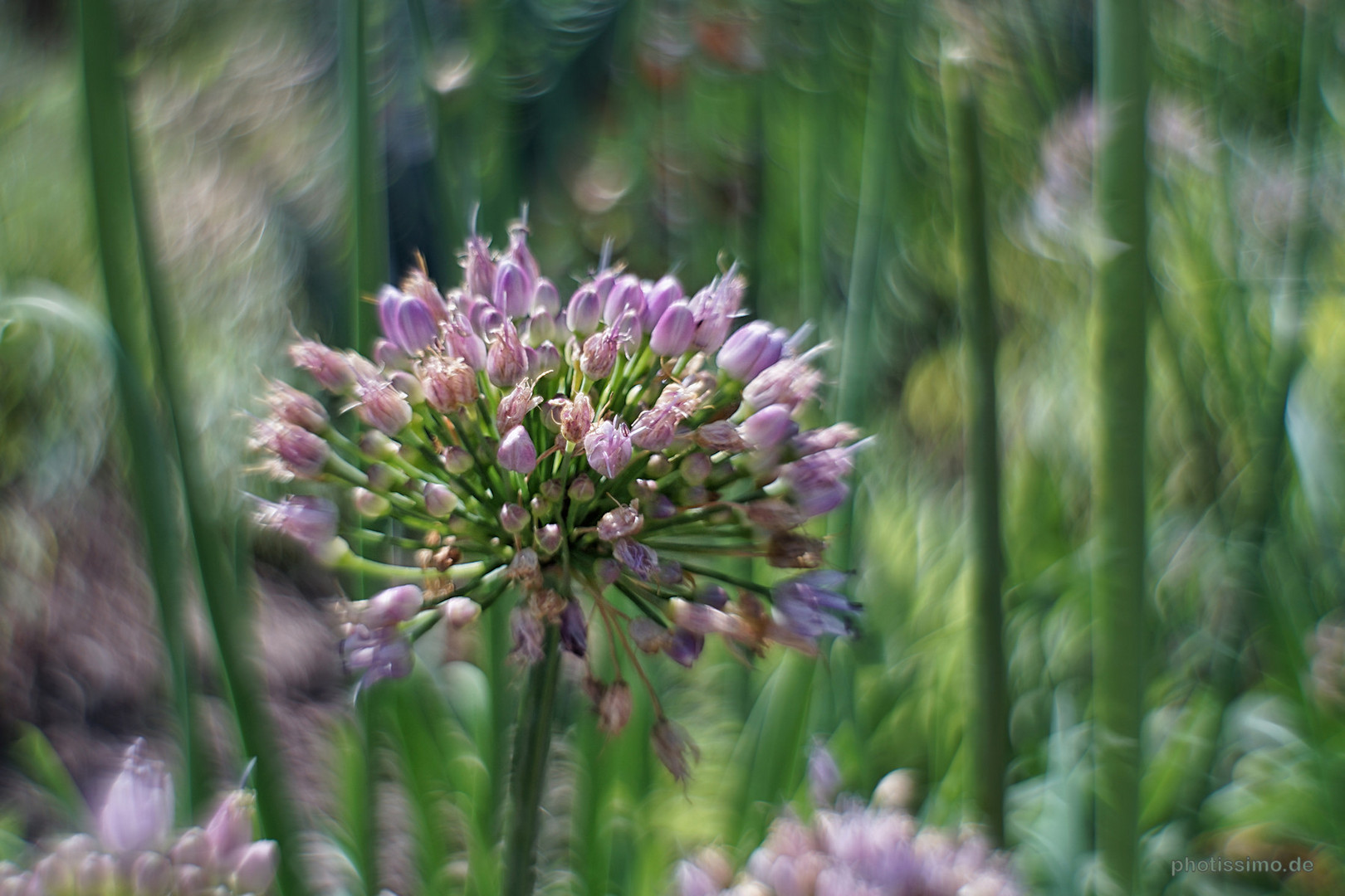 Im Botanischen Garten Der Hhu Dusseldorf Foto Bild Kritik Am