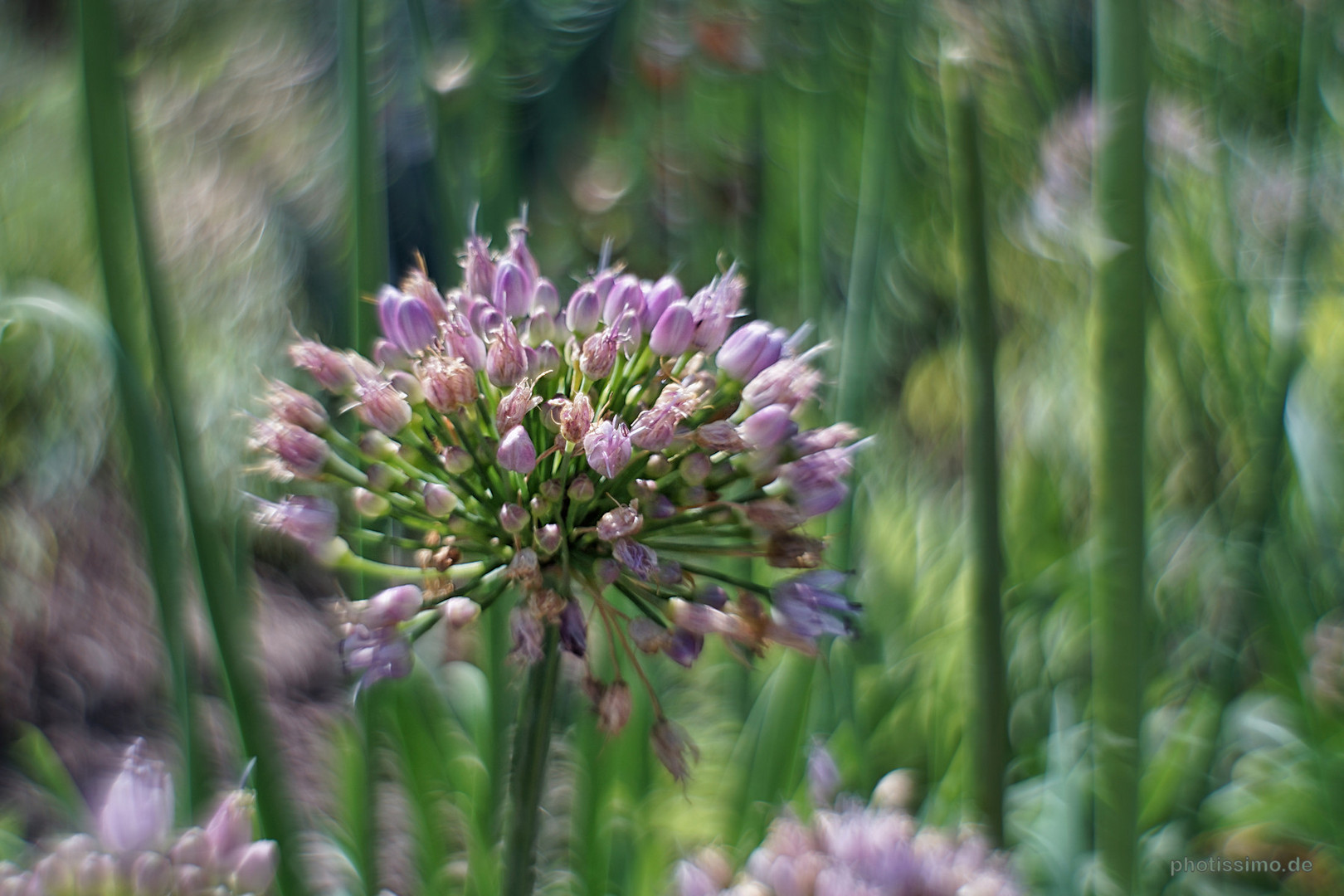 Im Botanischen Garten der HHU Düsseldorf