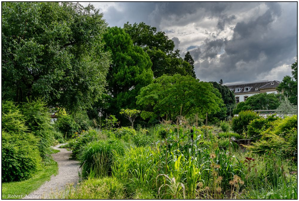 Im Botanischen Garten Der Uni Basel Foto Bild Europe Schweiz