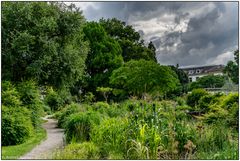 Im Botanischen Garten der Uni Basel