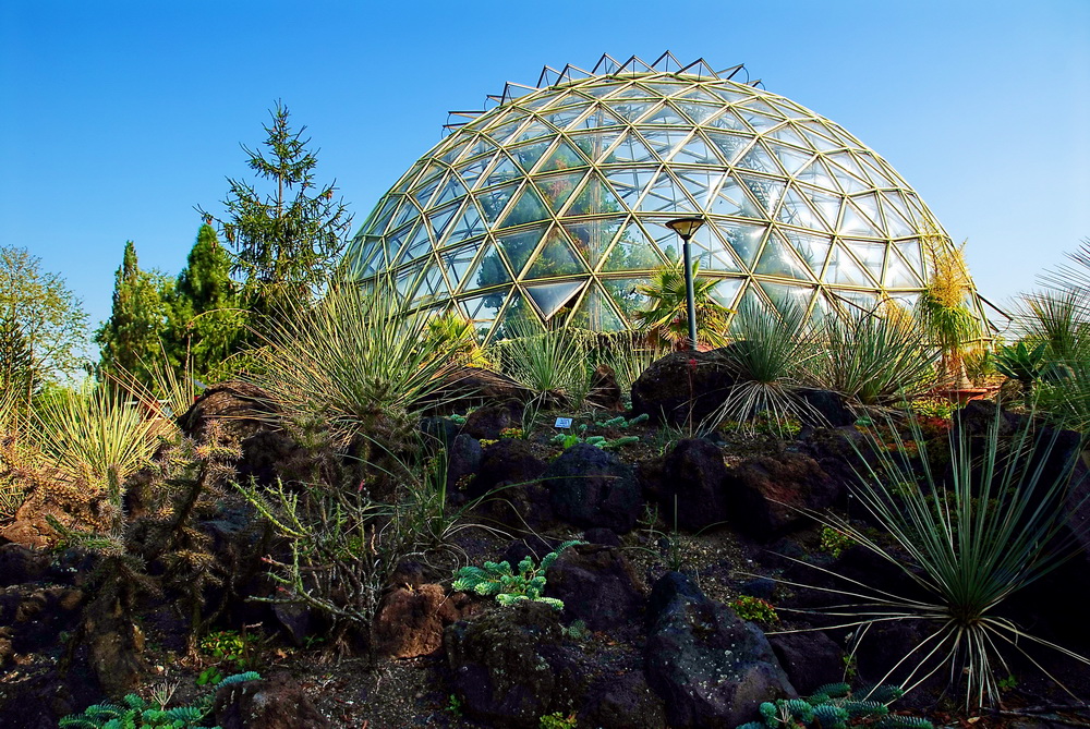 Im botanischen Garten der Uni Düsseldorf