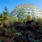 Im botanischen Garten der Uni Düsseldorf