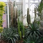 Im botanischen Garten der Wilhelma