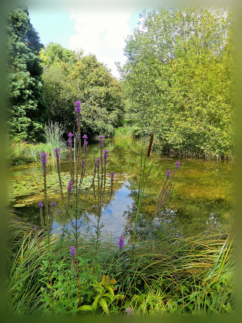 Im Botanischen Garten Düsseldorf