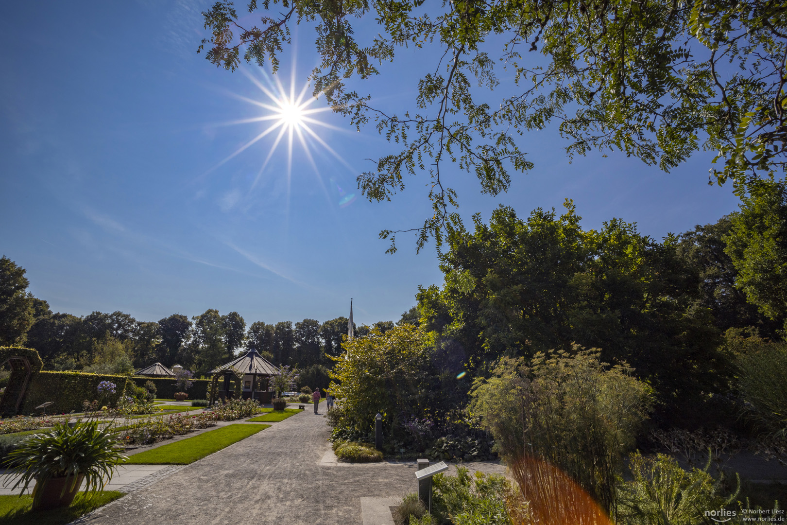 Im Botanischen Garten