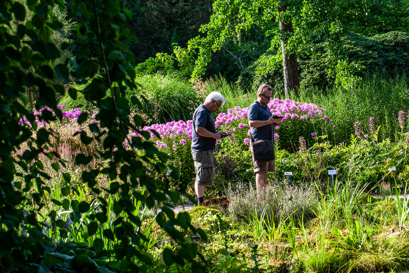 im botanischen Garten Foto & Bild | erwachsene ...